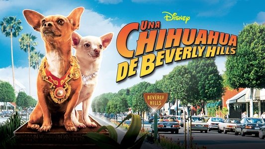 Beverly Hills Chihuahua