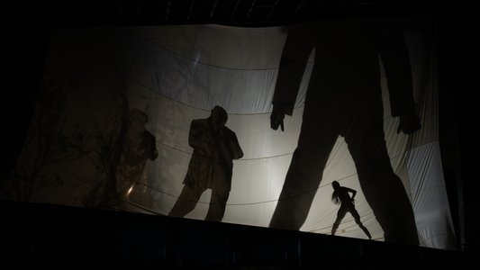 Seven Veils