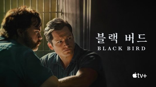 Black Bird