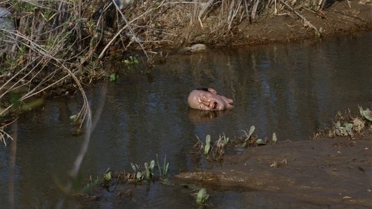 The Incredible Melting Man
