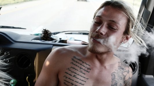 American Honey