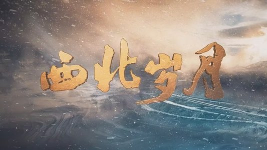 西北岁月