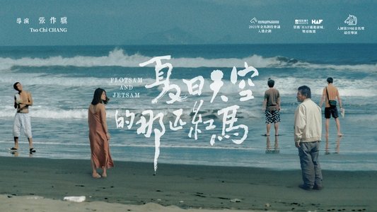 夏日天空的那匹紅馬