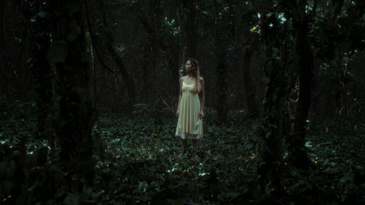 La bruja del bosque