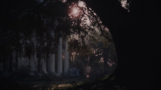 The Beguiled