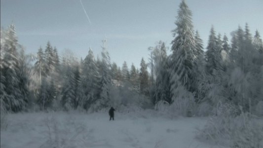 Элегия дороги