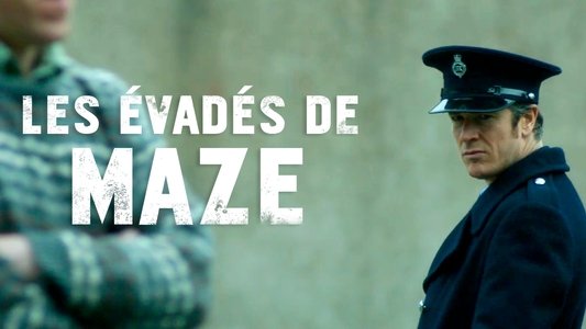 Maze
