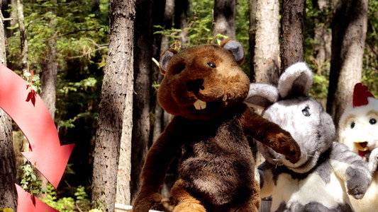 Wild things Sverige