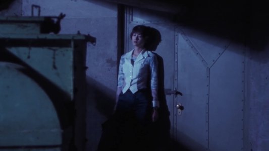 XX 美しき機能