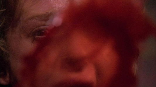 La casa delle anime erranti