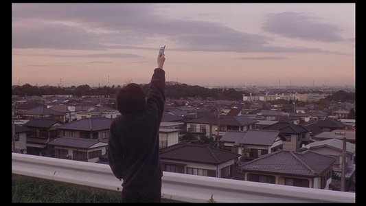 シェイディー・グローヴ