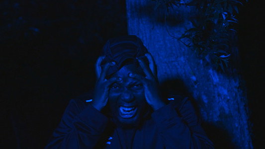 The Prisoner