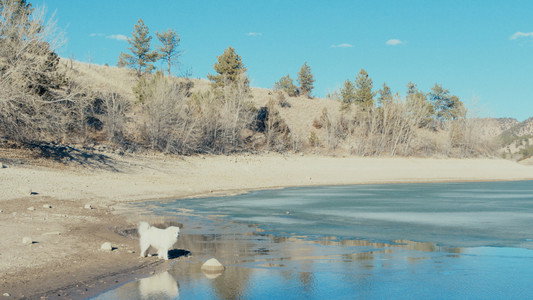 50 Hours to Wyoming