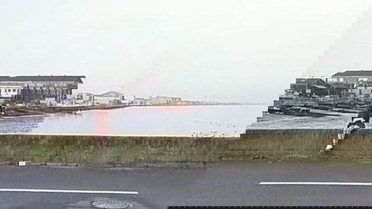 たまもの