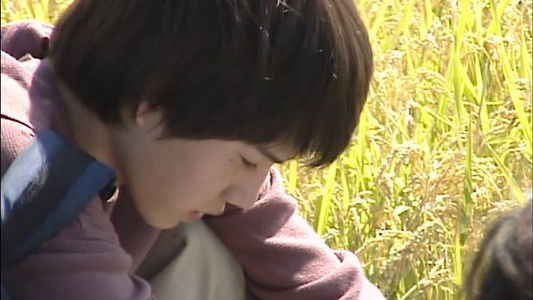 呼吸  「リリイ・シュシュのすべて」のすべて