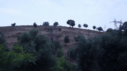 و کیارستمی ادامه دارد