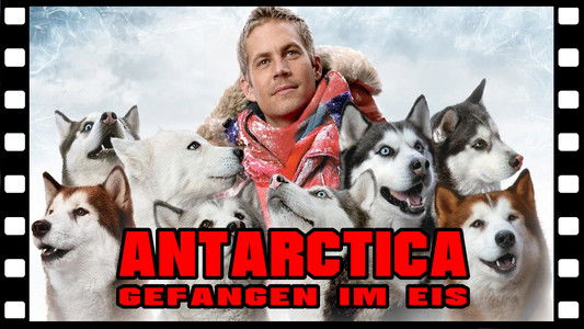 Eight Below