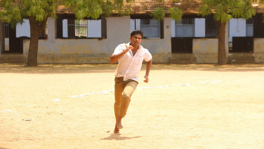 பைசன் காளமாடன்