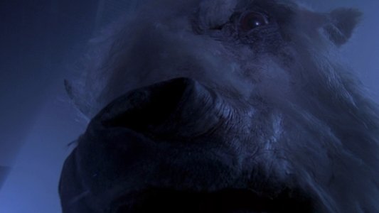 The White Buffalo
