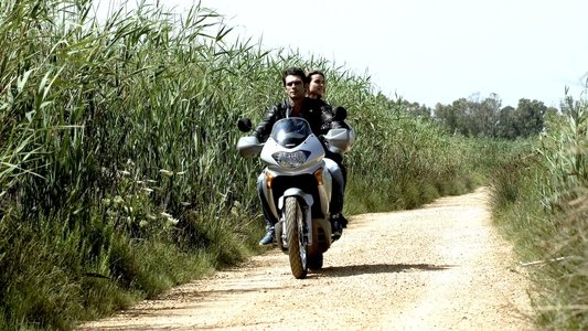 Allacciate le cinture