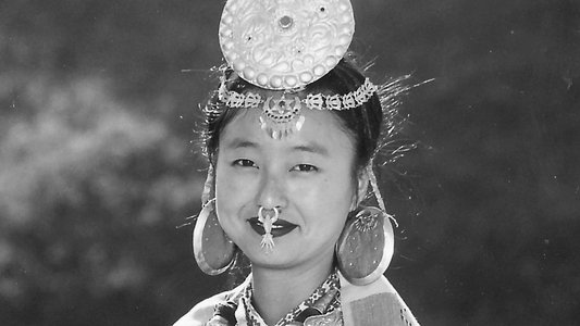 Numafung