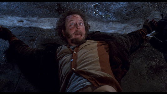 Home Alone 2: Lost in New York