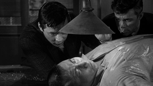 The Crimson Kimono