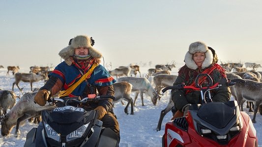 Stöld