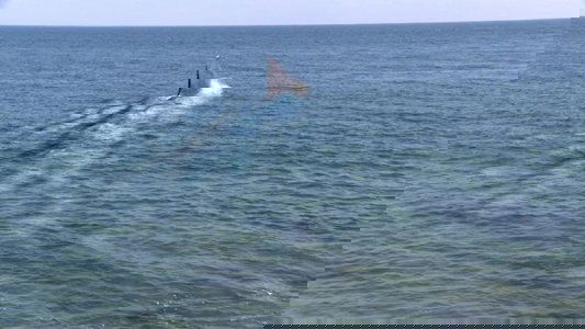 Super Shark