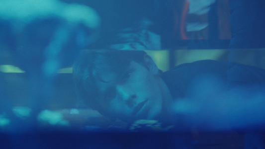 Blowfish