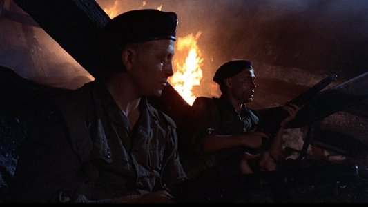 The Virgin Soldiers