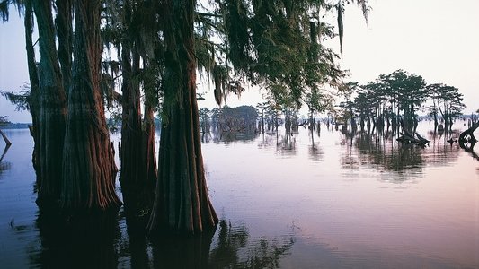 Earth's Great Rivers