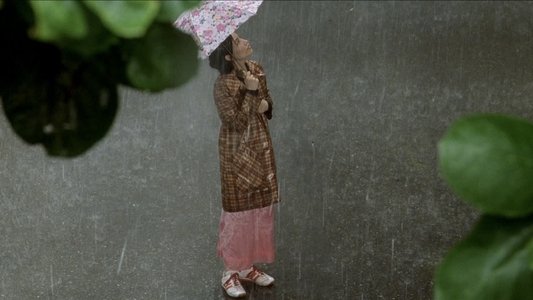 Mùa hè chiều thẳng đứng