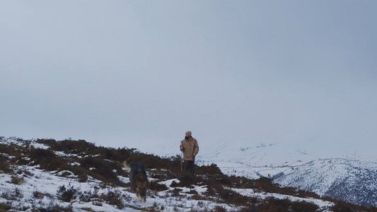 Salvajes, El Cuento Del Lobo