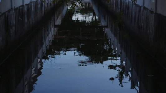 Se Houvessem Baleias no Rio
