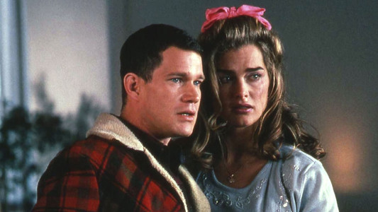 The Almost Perfect Bank Robbery