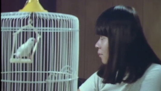 女刑務所 ザ・私刑