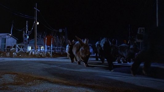 Night of the Lepus