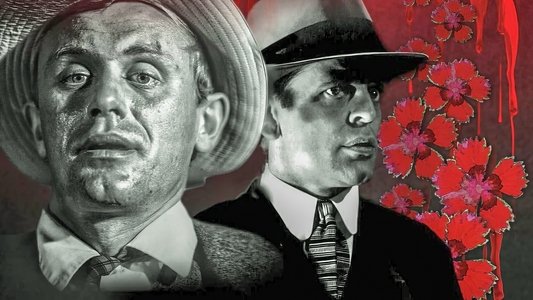 Das Geheimnis der chinesischen Nelke