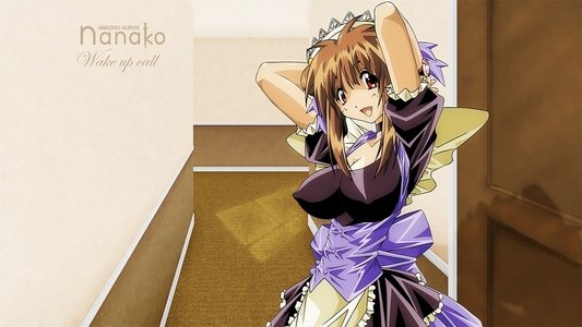 菜々子解体診書