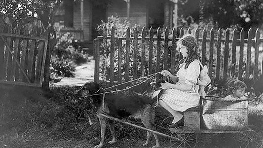 Pollyanna