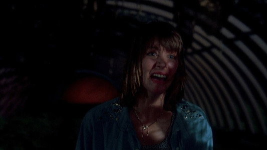 The Texas Chainsaw Massacre Part 2