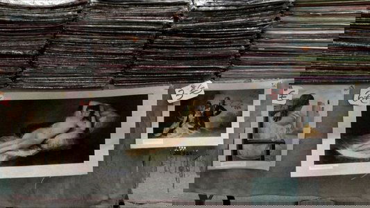 Goya: el secreto de la sombra