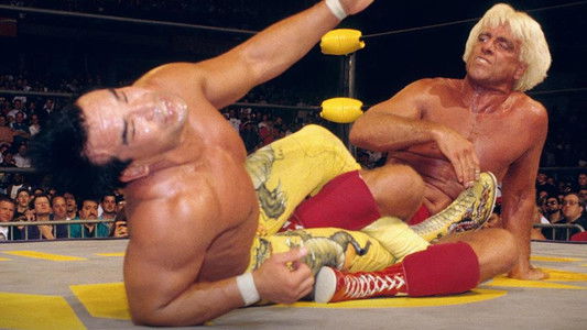 WCW Spring Stampede 1994