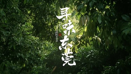 寻味东莞