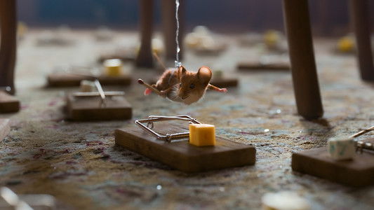 Hvis ingen går i fella