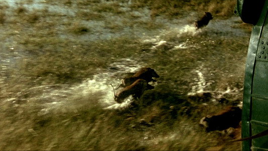 Black Hawk Down