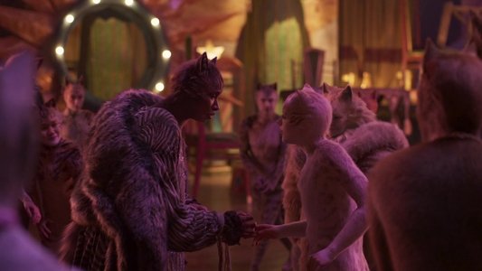 Cats
