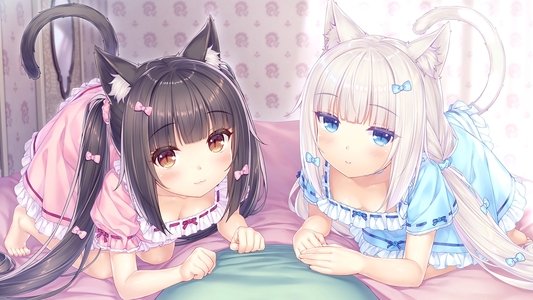 ネコぱら