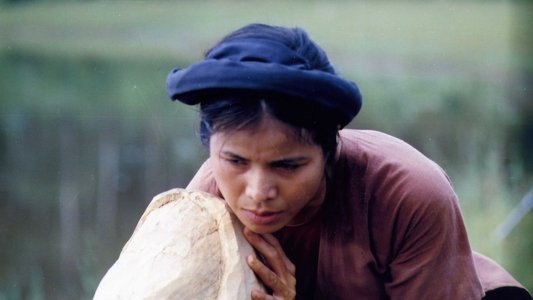Mê Thảo - thời vang bóng